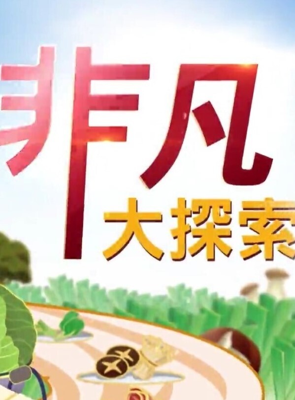【精品 泄密 】杭州甜美女孩与男友 自拍 流出 - 少女嫩私处